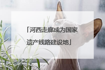河西走廊成为国家遗产线路建设地