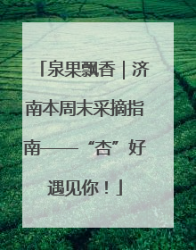 泉果飘香｜济南本周末采摘指南——“杏”好遇见你！