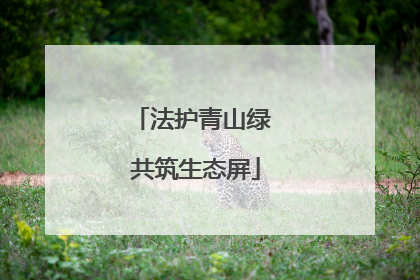 法护青山绿 共筑生态屏