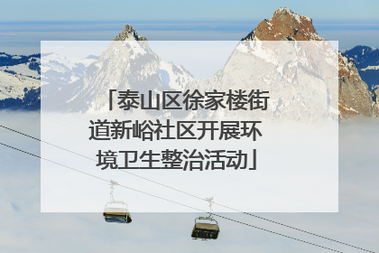 泰山区徐家楼街道新峪社区开展环境卫生整治活动