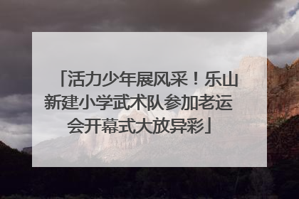 活力少年展风采！乐山新建小学武术队参加老运会开幕式大放异彩