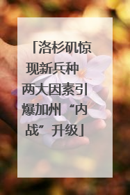 洛杉矶惊现新兵种 两大因素引爆加州“内战”升级