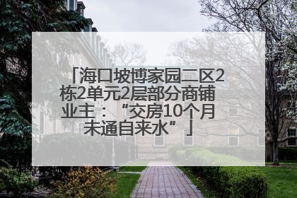 海口坡博家园二区2栋2单元2层部分商铺业主：“交房10个月未通自来水”