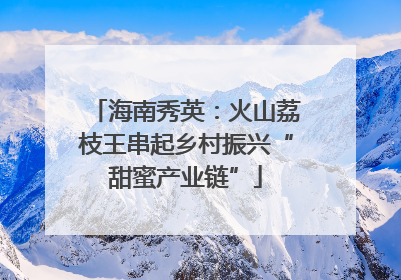 海南秀英：火山荔枝王串起乡村振兴“甜蜜产业链”
