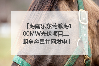 海南乐东莺歌海100MW光伏项目二期全容量并网发电