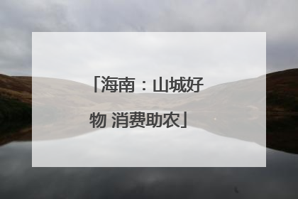 海南：山城好物 消费助农