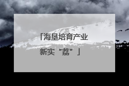 海垦培育产业新实“荔”