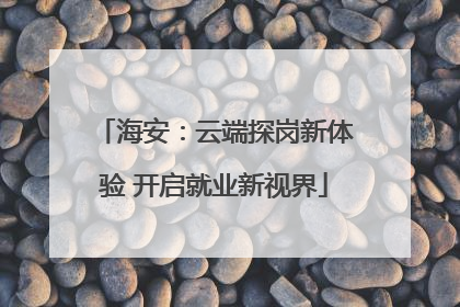 海安：云端探岗新体验 开启就业新视界