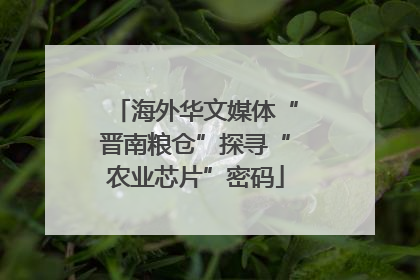 海外华文媒体“晋南粮仓”探寻“农业芯片”密码
