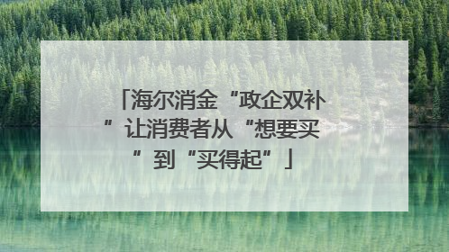 海尔消金“政企双补”让消费者从“想要买”到“买得起”
