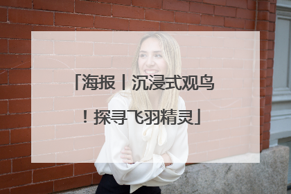 海报丨沉浸式观鸟！探寻飞羽精灵