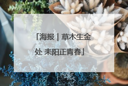 海报｜草木生金处 耒阳正青春