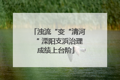 浊流“变“清河“ 溧阳支浜治理成绩上台阶