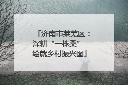 济南市莱芜区：深耕“一株桑” 绘就乡村振兴图