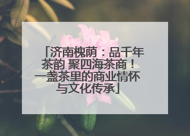 济南槐荫：品千年茶韵 聚四海茶商！一盏茶里的商业情怀与文化传承