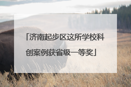 济南起步区这所学校科创案例获省级一等奖