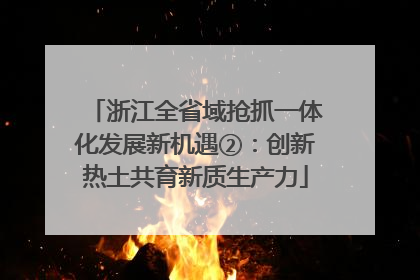 浙江全省域抢抓一体化发展新机遇②：创新热土共育新质生产力
