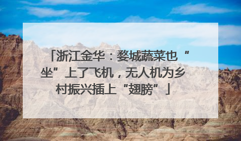 浙江金华：婺城蔬菜也“坐”上了飞机，无人机为乡村振兴插上“翅膀”