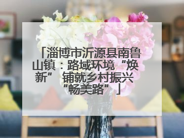 淄博市沂源县南鲁山镇：路域环境“焕新” 铺就乡村振兴“畅美路”