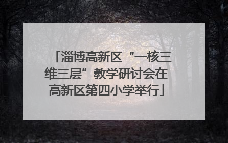 淄博高新区“一核三维三层”教学研讨会在高新区第四小学举行