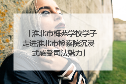 淮北市梅苑学校学子走进淮北市检察院沉浸式感受司法魅力