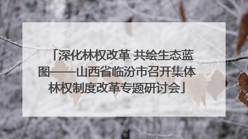 深化林权改革 共绘生态蓝图——山西省临汾市召开集体林权制度改革专题研讨会