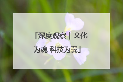 深度观察｜文化为魂 科技为翼