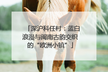深沪科任村：蓝白浪漫与闽南古韵交织的“欧洲小镇”