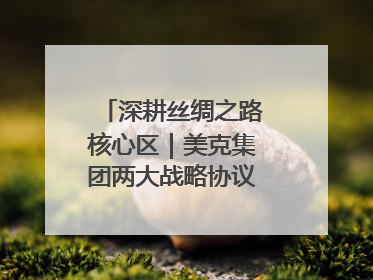 深耕丝绸之路核心区｜美克集团两大战略协议落地，激活新疆开放新动能