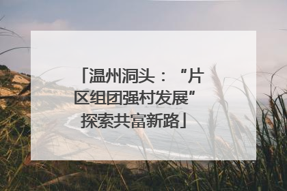 温州洞头：“片区组团强村发展”探索共富新路
