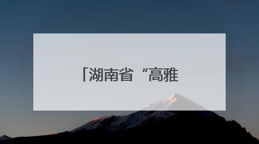 湖南省“高雅艺术进校园”交响乐专场活动走进怀化学院