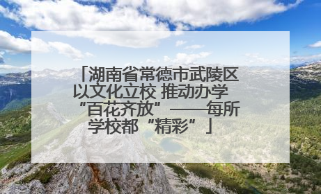 湖南省常德市武陵区以文化立校 推动办学“百花齐放”——每所学校都“精彩”