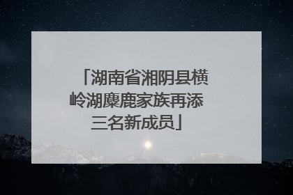 湖南省湘阴县横岭湖麋鹿家族再添三名新成员
