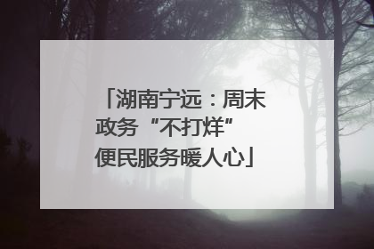 湖南宁远：周末政务“不打烊” 便民服务暖人心
