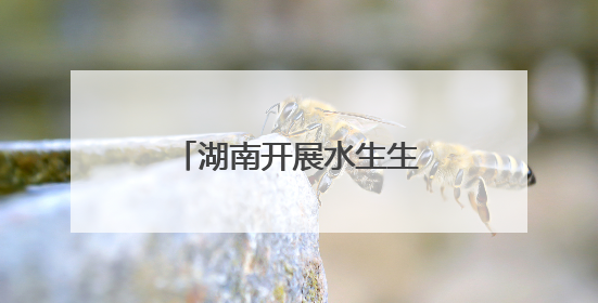 湖南开展水生生物增殖放流活动