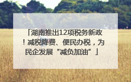 湖南推出12项税务新政！减税降费、便民办税，为民企发展“减负加油”