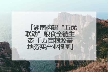 湖南构建“五优联动”粮食全链生态 千万亩粮源基地夯实产业根基
