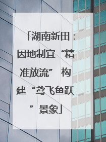 湖南新田：因地制宜“精准放流” 构建“鸢飞鱼跃”景象