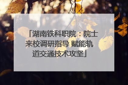 湖南铁科职院：院士来校调研指导 赋能轨道交通技术攻坚