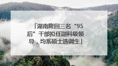 湖南隆回三名“95后”干部拟任副科级领导，均系硕士选调生