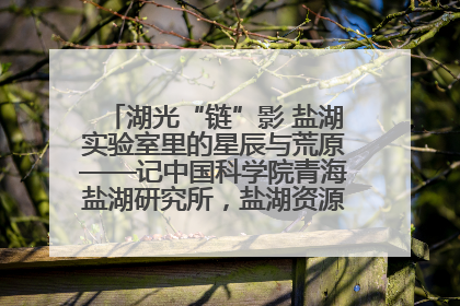 湖光“链”影 盐湖实验室里的星辰与荒原——记中国科学院青海盐湖研究所，盐湖资源化学实验室党总支书记、副主任刘忠