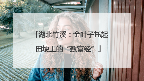 湖北竹溪：金叶子托起田埂上的“致富经”