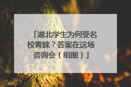 湖北学生为何受名校青睐？答案在这场咨询会（组图）