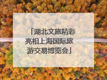 湖北文旅精彩亮相上海国际旅游交易博览会