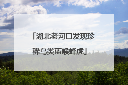 湖北老河口发现珍稀鸟类蓝喉蜂虎