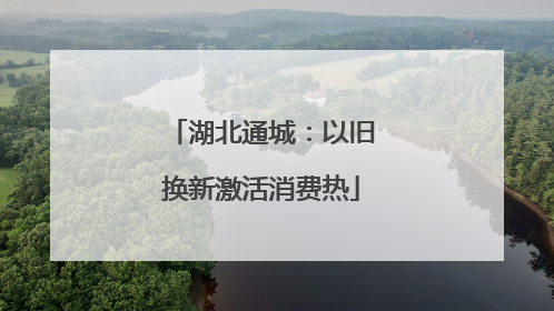 湖北通城：以旧换新激活消费热