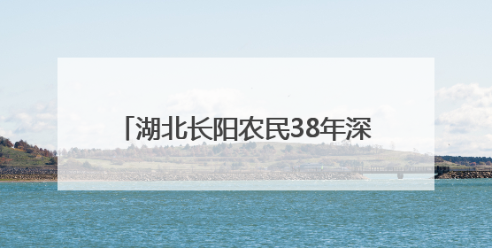 湖北长阳农民38年深山守护“植物大熊猫”