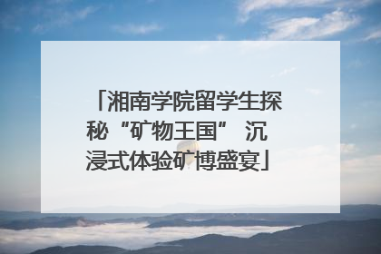湘南学院留学生探秘“矿物王国” 沉浸式体验矿博盛宴