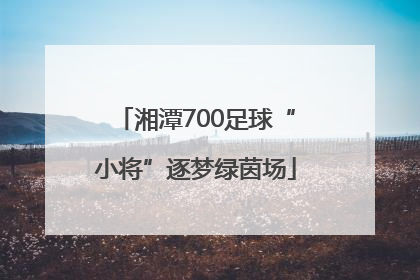 湘潭700足球“小将”逐梦绿茵场