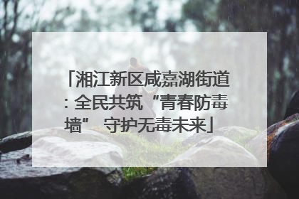 湘江新区咸嘉湖街道：全民共筑“青春防毒墙” 守护无毒未来